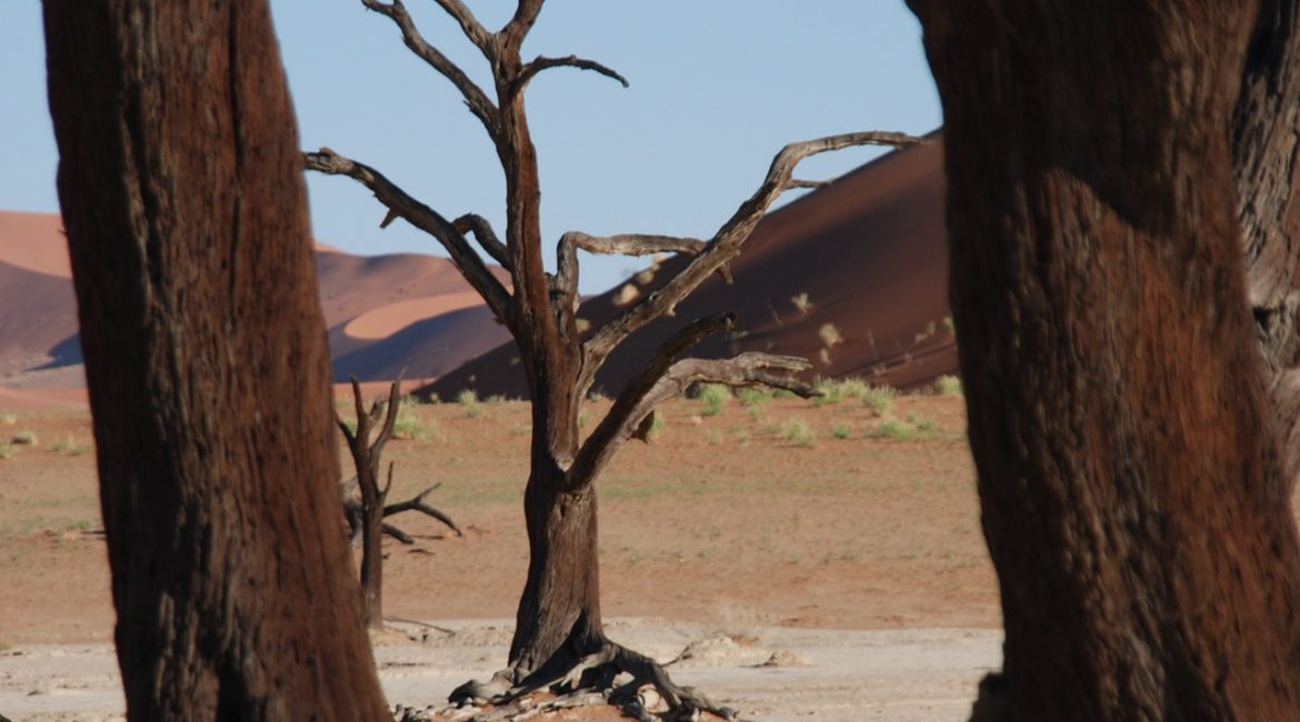 Namibia - Desert